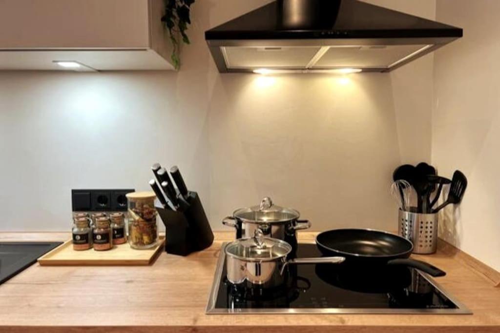 Soul-Apartment Terrasse Privat-Parkplatz Boxspringbett 55Zoll Tv Wlan ライプツィヒ エクステリア 写真